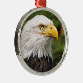 Amerikaanse Bald Eagle Metalen Ornament (Rechts)