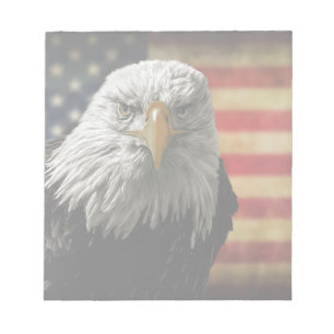 Amerikaanse Bald Eagle over de vlag van Grunge Notitieblok