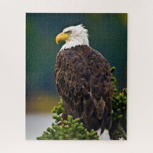 Amerikaanse Bald Eagle Perched Legpuzzel