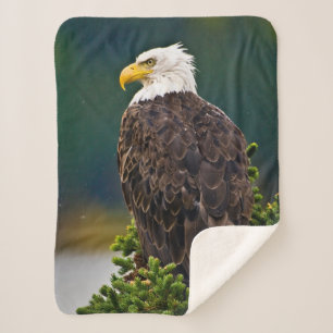 Amerikaanse Bald Eagle Perched Sherpa Deken