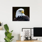Amerikaanse Bald Eagle Poster (Thuiskantoor)