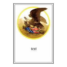 -Amerikaanse Bald Eagle