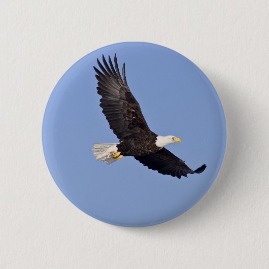 Amerikaanse Bald Eagle Ronde Button 5,7 Cm (Voorkant)