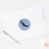 Amerikaanse Bald Eagle Ronde Sticker (Envelop)
