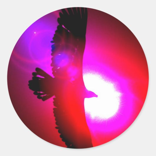 Amerikaanse Bald Eagle Ronde Sticker (Voorkant)