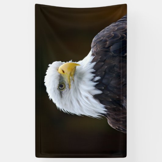 Amerikaanse Bald Eagle Spandoek (Verticaal)