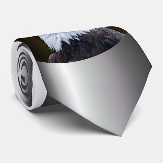 Amerikaanse Bald Eagle Stropdas (Opgerold)