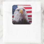 Amerikaanse Bald Eagle Vierkante Sticker (Tas)