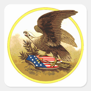 -Amerikaanse Bald Eagle Vierkante Sticker