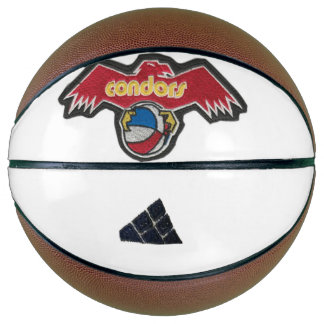 Amerikaanse basketbalbond basketbal