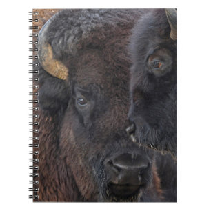 Amerikaanse Bison Bonded Pair Bull en Cow Notitieboek
