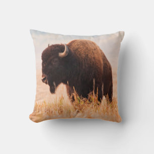 Amerikaanse Bizon (Bison Bison) Kudde In Teton 2 Kussen
