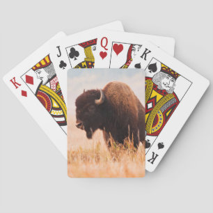 Amerikaanse Bizon (Bison Bison) Kudde In Teton 2 Pokerkaarten
