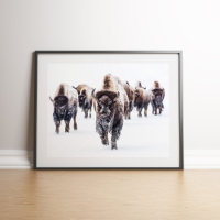 Amerikaanse bizon kudde in sneeuw muur kunst