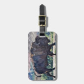 Amerikaanse bizon zwerven in grasland setting bagagelabel (Voorkant verticaal)