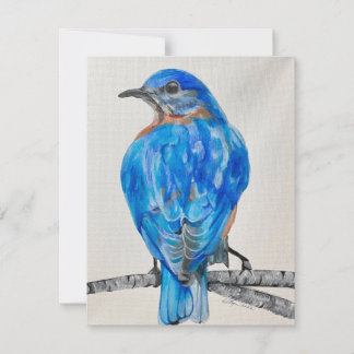 Amerikaanse Blauwe Vogel Feestdagenkaart