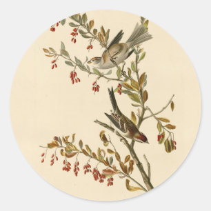 Amerikaanse Boom Sparrow, Amerikaanse vogelvogels Ronde Sticker