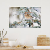 Amerikaanse Boom Sparrow in de winter Poster (Keuken)