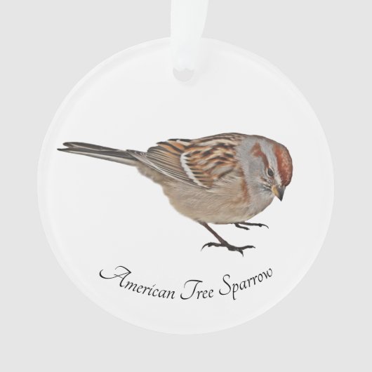Amerikaanse Boom Sparrow Ornament (voorkant)