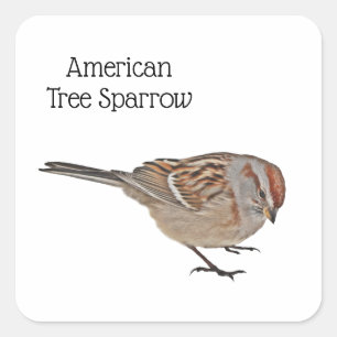 Amerikaanse boomgaard vierkante sticker