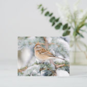 Amerikaanse boommus in de winter briefkaart (Staand voorkant)