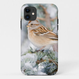 Amerikaanse Boommus in de winter iPhone 11 Hoesje