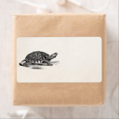 Amerikaanse Box Tortoise - Turtle Sjabloon Etiket (Insitu)
