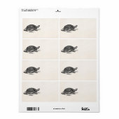 Amerikaanse Box Tortoise - Turtle Sjabloon Etiket (Full Sheet)