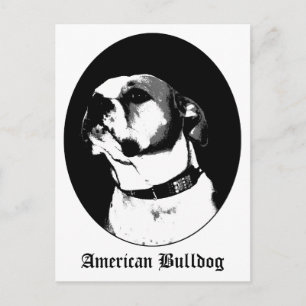 Amerikaanse briefkaart