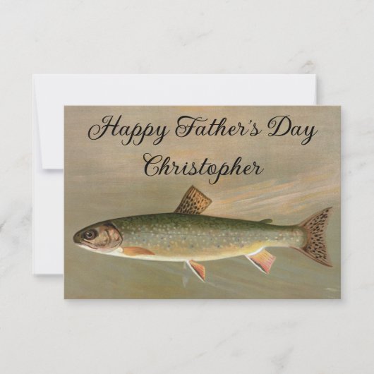 Amerikaanse Brook Trout Fish Illustratie (Voorkant)