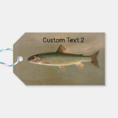 Amerikaanse Brook Trout Fish  Illustratie Cadeaulabel (Achterkant Horizontaal)