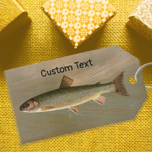 Amerikaanse Brook Trout Fish  Illustratie Cadeaulabel