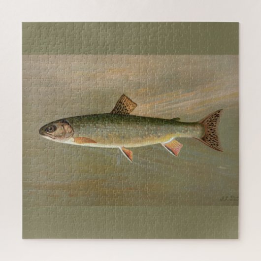 Amerikaanse Brook Trout Fish  Illustratie Legpuzzel (Verticaal)