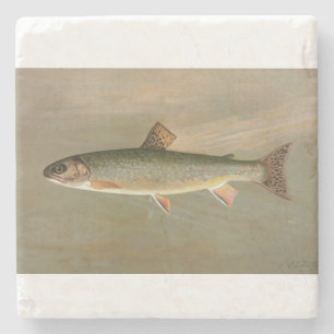 Amerikaanse Brook Trout Fish  Illustratie Stenen Onderzetter