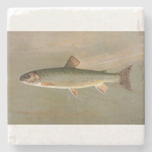 Amerikaanse Brook Trout Fish  Illustratie Stenen Onderzetter (Voorkant)