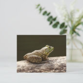 Amerikaanse Brulkikvors Briefkaart (Staand voorkant)