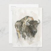 Amerikaanse Buffalo I Briefkaart (Voorkant / Achterkant)
