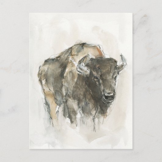 Amerikaanse Buffalo I Briefkaart (Voorkant)