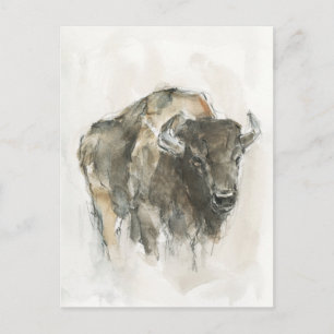 Amerikaanse Buffalo I Briefkaart
