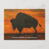 Amerikaanse buffel (Bison) Briefkaart (Voorkant)