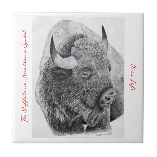 Amerikaanse buffel tegeltje (Voorkant)
