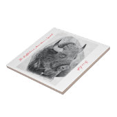 Amerikaanse buffel tegeltje (Zijkant)