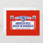 Amerikaanse Bull Dogue de Bordeaux Briefkaart (Voorkant / Achterkant)