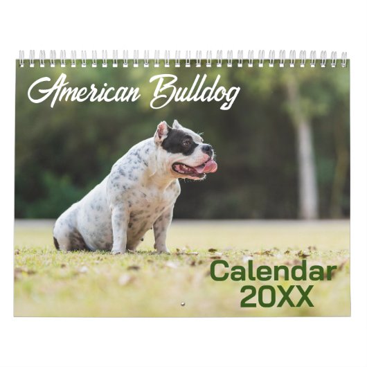 Amerikaanse Bulldog kalender 2026 (Hoes)