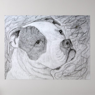 Amerikaanse Bulldog Pet Portrait Art Potcil Tekeni Poster