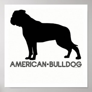 Amerikaanse Bulldog Print