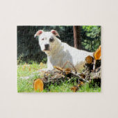 Amerikaanse Bulldog Puzzle Legpuzzel (Horizontaal)