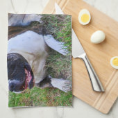 Amerikaanse Bulldog Theedoek (Quarter Fold)