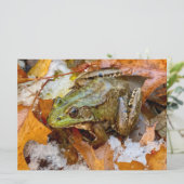 Amerikaanse Bullfrog in Herfst Magnet (Staand voorkant)
