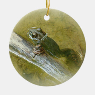 Amerikaanse Bullfrog - Rana catesbeiana Keramisch Ornament